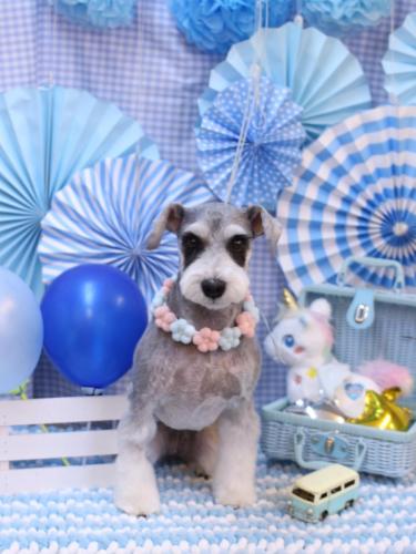 20231105ふたばちゃん